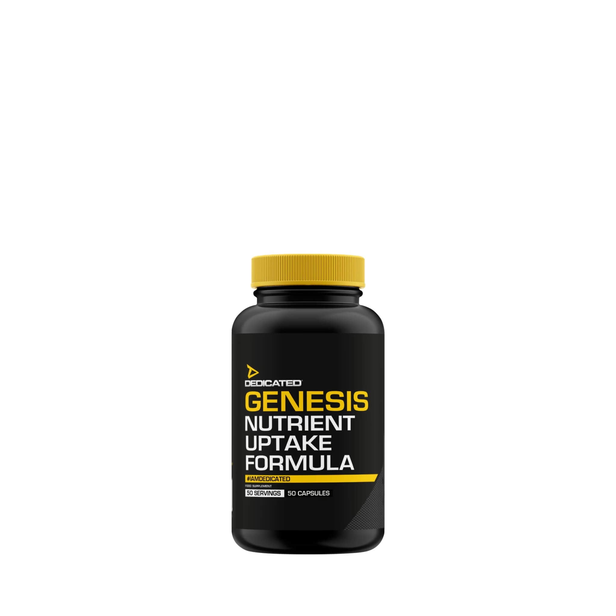 Genesis